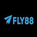 @fly8800net