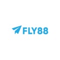 @fly8864com