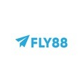 @Fly88charity