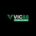 @vic88aeorg