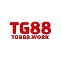 @Tg888work