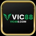 @Vic88ecom
