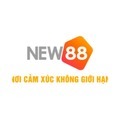 @New88maxnet