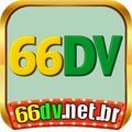 @66dvnetbr