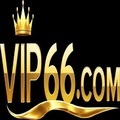 @vip66training