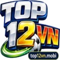 @top12vnmobi