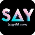 @1Say88com