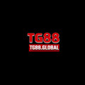 @tg88global
