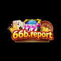 @66breport