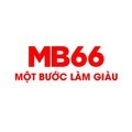 @mb66news1