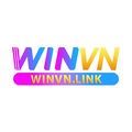 @winvnlink