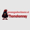 @thomohomnaygewoon