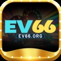 @ev66org