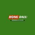 @bongdaluaccountant