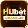 @hubettjpnet