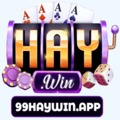 @99haywinapp