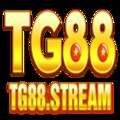 @tg88stream