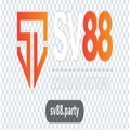 @nhacaisv88party