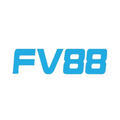 @fv88work