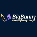 @bigbunnycomph
