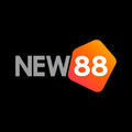 @new88cam1