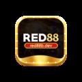 @red88bdev