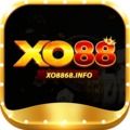 @xo8868info