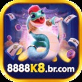 @8888k8brcom