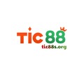 @tic88sorg