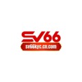 @sv66kyccncom