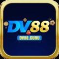 @dv88guru