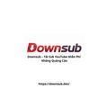 @downsubdev