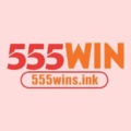 @555winsink