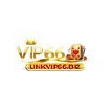 @linkvip66biz