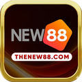 @ncthenew88com