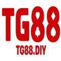 @tg88diyvn