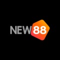 @new88cc