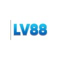 @lv88t1com