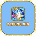 @caxengitcom