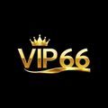 @vip66live