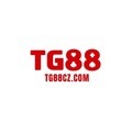 @Tg88czcom
