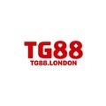 @Tg88london