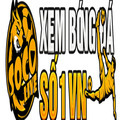 @socolive55zxz