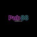 @pub88zacom