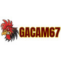 @gacam67snet