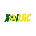 @xoilactvmexcom1