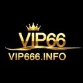 @vip666info