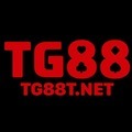@tg88tnet
