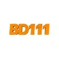 @bd111art