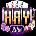 @haywincasino